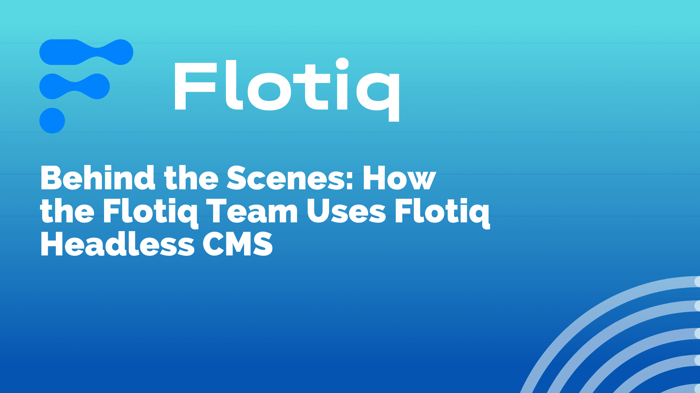 Behind the Scenes: How the Flotiq Team Uses Flotiq Headless CMS